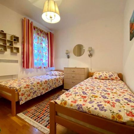Apartment Liza Petrovac Buitenkant foto