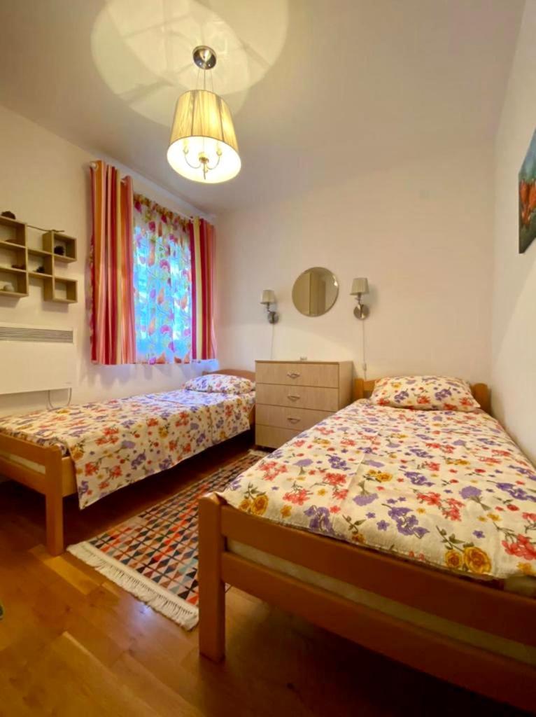 Apartment Liza Petrovac Buitenkant foto
