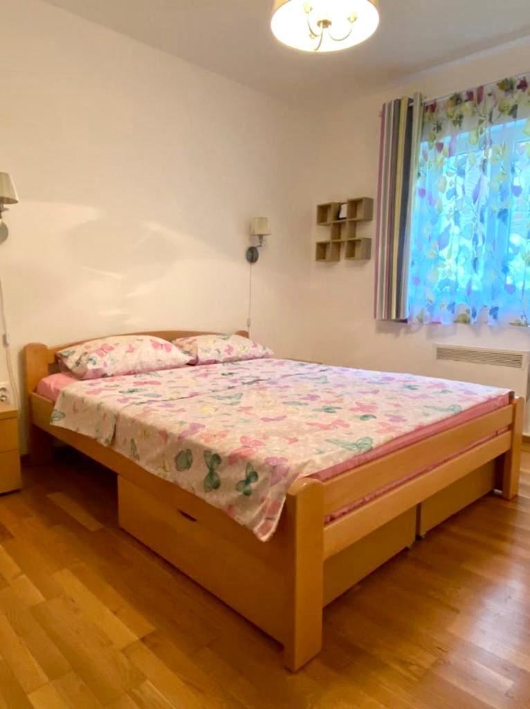 Apartment Liza Petrovac Buitenkant foto