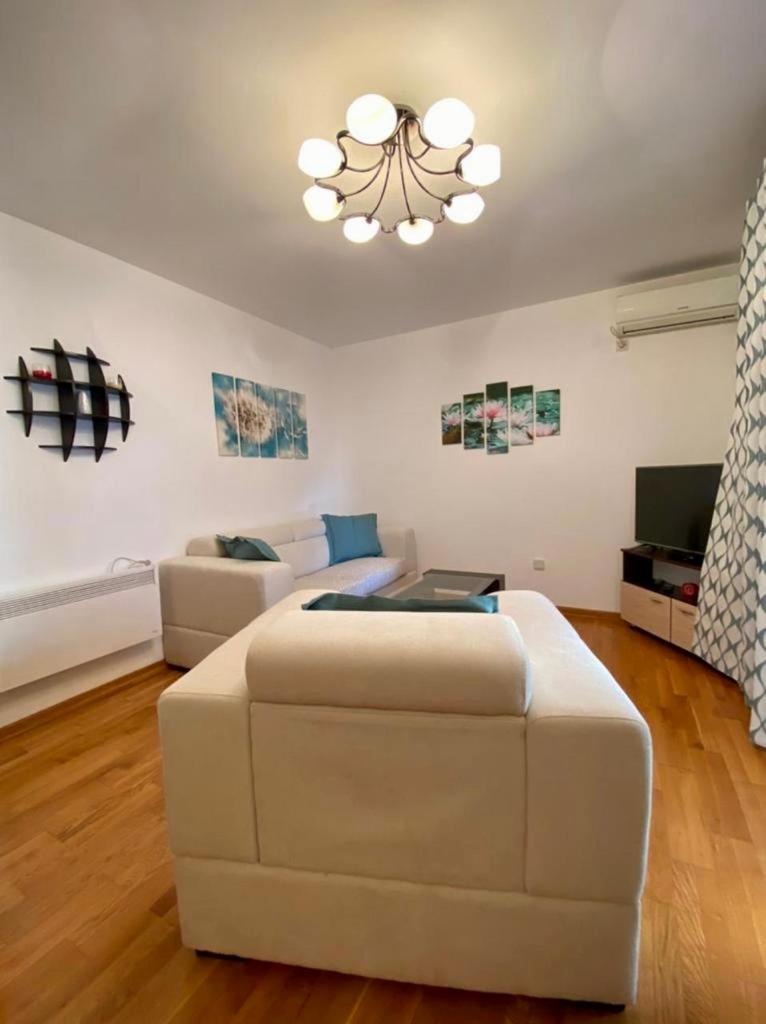 Apartment Liza Petrovac Buitenkant foto